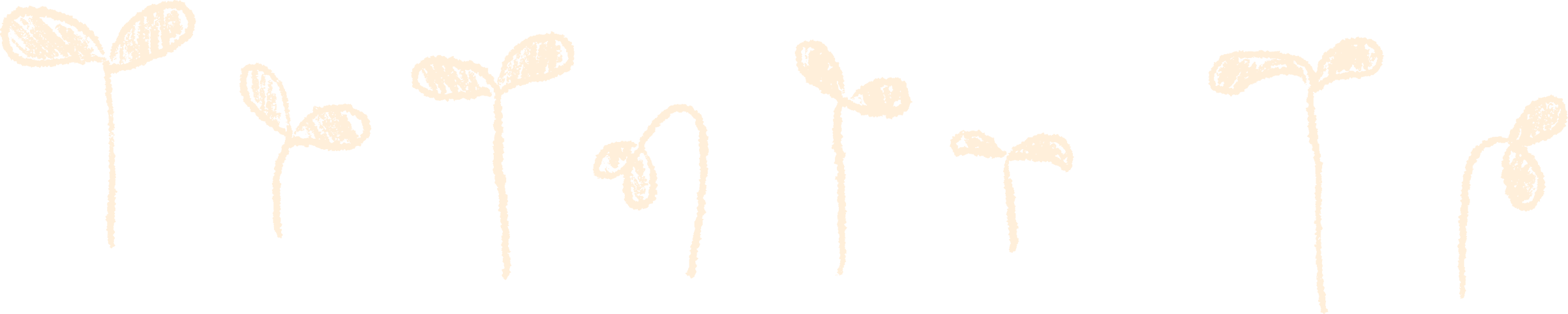 私たちの想い