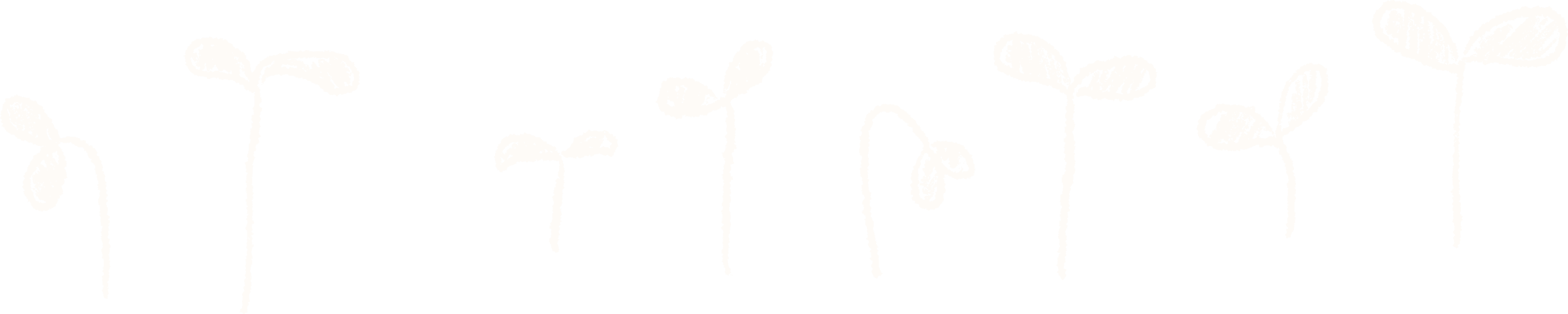 私たちの想い